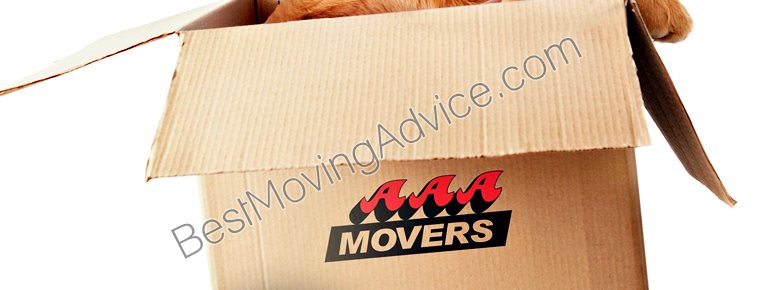 household movers moncton