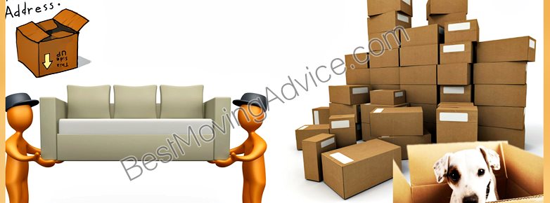 efficient movers waltham ma