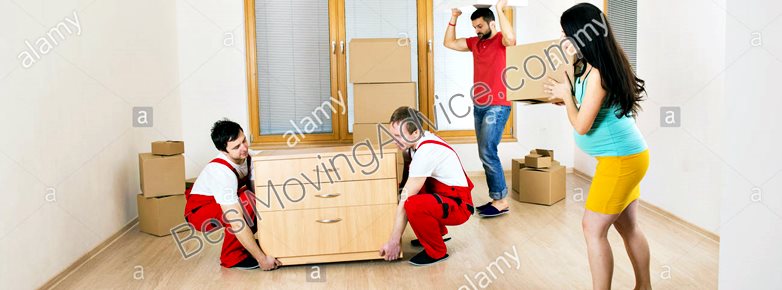 lewisville office movers