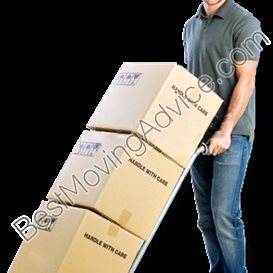 bronte movers bbb