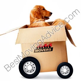 reviews of movers in bloomington in
