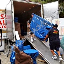 professional packers movers review