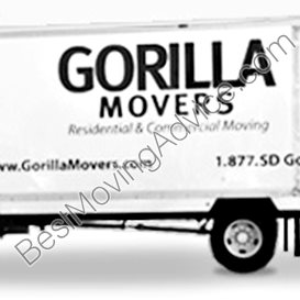 global cargo movers illinois