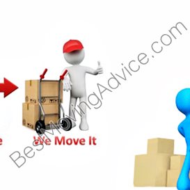 professional chauvet movers